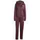 Adidas Essentials Linear W tracksuit JD2698 (XS)