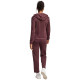 Adidas Essentials Linear W tracksuit JD2698 (XS)