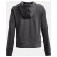 Under Armour Under Armor Rival Terry FZ Hoodie W 1369853 010 (L)