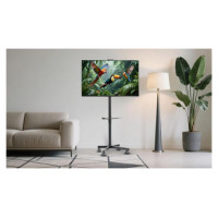 Gembird TV SET ACC FLOOR STAND 32-55"/TILT TVS-55T-03 GEMBIRD