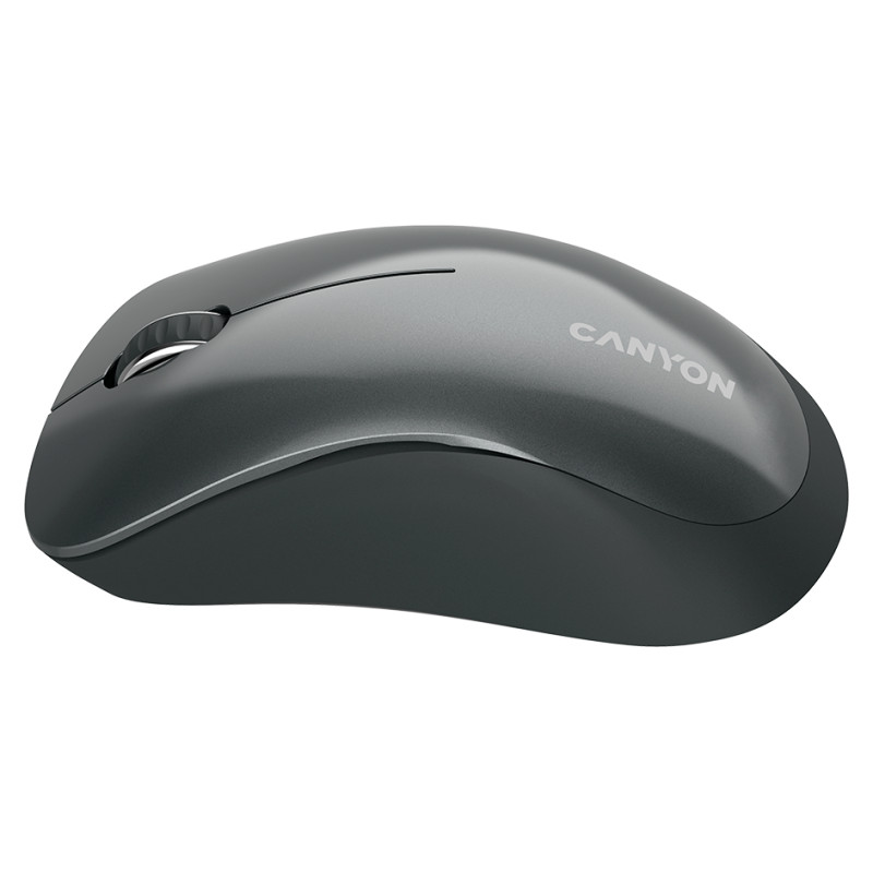 Canyon MW-11, 2.4 GHz Wireless mouse,with 3 buttons, DPI 1200, Battery:AAA*2pcs,Black,67*109*38mm,0.063kg