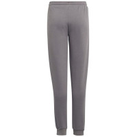 Adidas Pants adidas Entrada 22 Sweat Panty Y Jr H57519 (128 cm)