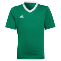 Adidas T-shirt adidas Entrada 22 Jersey Jr HI2126 (164 cm)