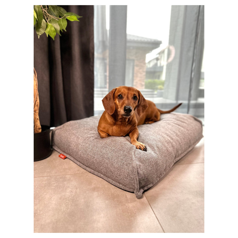 Emis Sleeping Bailey S 80x60 / Gai&scaron;i pelēks