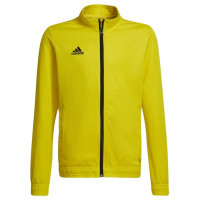 Adidas Sweatshirt adidas Entrada 22 Track Jr HI2139 (152)