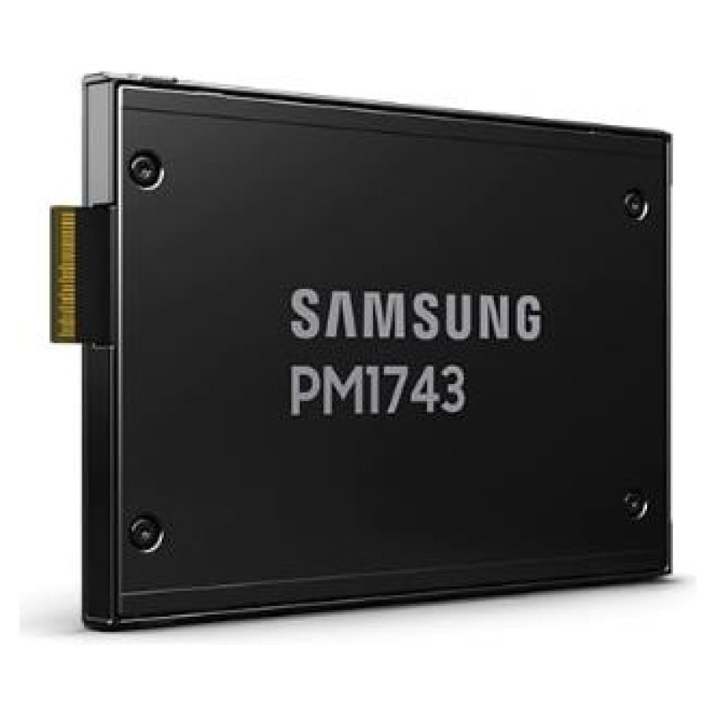 Samsung SSD|SAMSUNG|PM1743|3840 GB|PCI Express 5.0|NVMe Yes|2.5"|MZWLO3T8HCLS-00A07