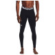 Under Armour Under Armor ColdGear Leggings M 1366075-001 (XL)