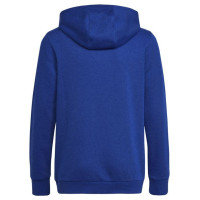 Adidas Sweatshirt adidas Big Logo Essentials Hoody Jr HN1912 (122 cm)