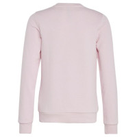Adidas Sweatshirt adidas Big Logo Swt Jr IC6119 (164 cm)