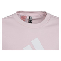 Adidas Sweatshirt adidas Big Logo Swt Jr IC6119 (164 cm)