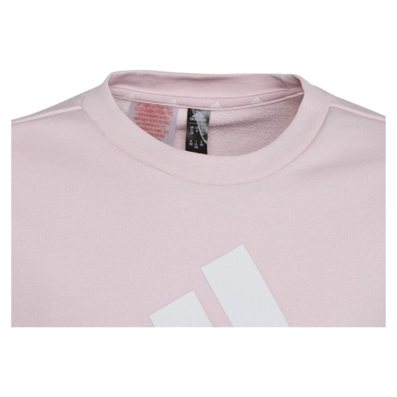 Adidas Sweatshirt adidas Big Logo Swt Jr IC6119 (164 cm)