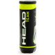 Head Team 575703 tennis balls