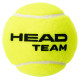 Head Team 575703 tennis balls