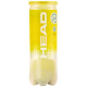 Head Team 575703 tennis balls