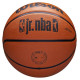 Wilson Basketball ball Wilson NBA Jr DRV Fam Logo Ball WZ3013001XB (7)