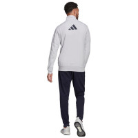 Adidas Logo Graphic Track Suit M H61134 (2XL)