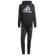 Adidas Big Logo Terry Track Suit M IJ8555 (2XL)