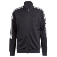 Adidas Tiro Wordmark M sweatshirt IA3047 (S)