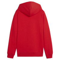 Puma Team Goal Casuals Hoddy Jr sweatshirt 658619 01 (140cm)