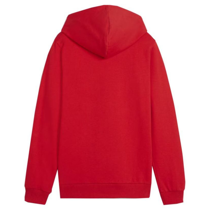 Puma Team Goal Casuals Hoddy Jr sweatshirt 658619 01 (140cm)