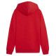 Puma Team Goal Casuals Hoddy Jr sweatshirt 658619 01 (140cm)