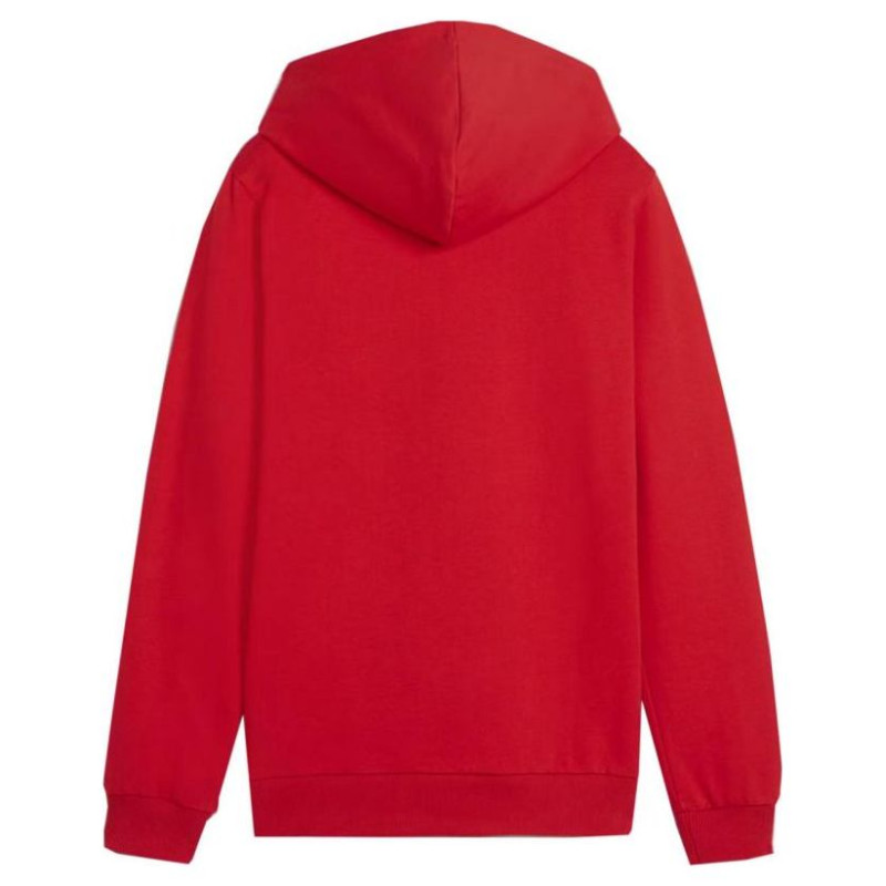 Puma Team Goal Casuals Hoddy Jr sweatshirt 658619 01 (152cm)