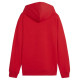 Puma Team Goal Casuals Hoddy Jr sweatshirt 658619 01 (152cm)