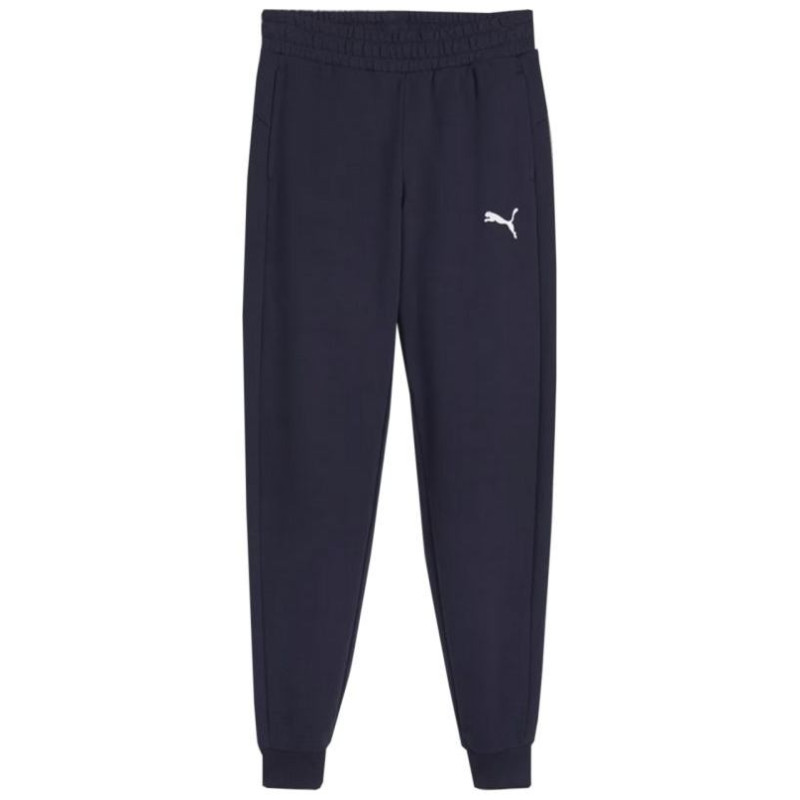 Puma Team Goal Jr pants 658601 06 (116cm)