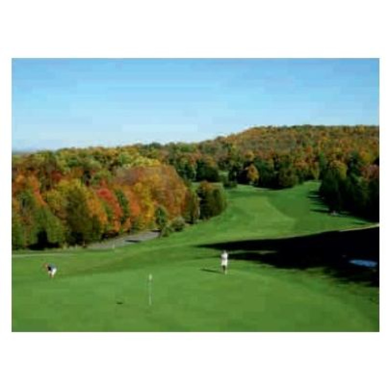 Diamix Adsoil Universal 20kg - augsnes kondicionētājs