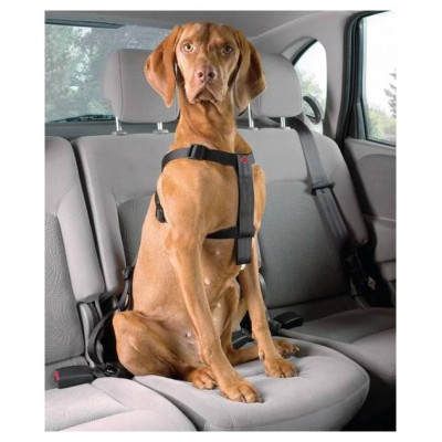Europet Bernina Auto dro&scaron;ības siksnas D&D Dog-Secure XS 20-50 cm
