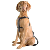 Europet Bernina Auto drošības siksnas D&D Dog-Secure XS 20-50 cm