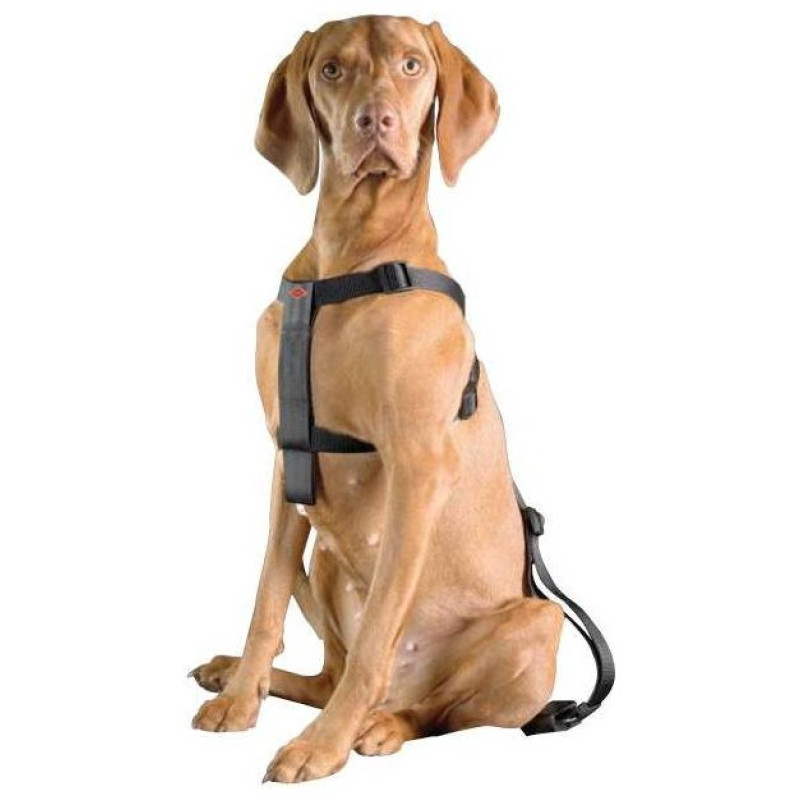 Europet Bernina Auto dro&scaron;ības siksnas D&D Dog-Secure XS 20-50 cm