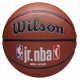 Wilson Jr NBA Fam Logo Auth In Out Ball Basketball WZ2018401XB (6)