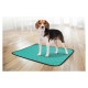 Flamingo TRAINING PAD GREEN XXL ANTISLIP 115x68,5cm - apmācības paliktnis
