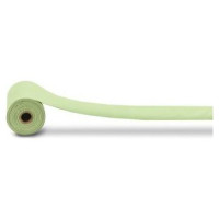 Record Izkārnījumu maisiņi Compostable 22x33 cm, 2 gb zaļa