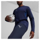 Puma Team Goal Training Pants M 658639 06 (M)