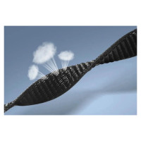 Tech-Protect Nylon Strap for Xiaomi Smart Band 8 / 8 NFC - Black