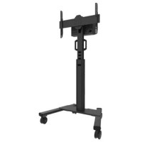 Neomounts MONITOR ACC FLOOR STAND 37-75"/FL50S-825BL1 NEOMOUNTS