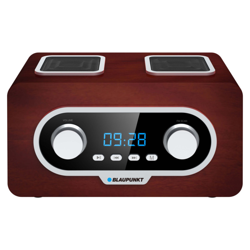 Blaupunkt PP5.2BR