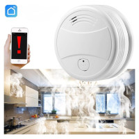 Spring Smart WiFi Photoelectric Smoke Detektor, White