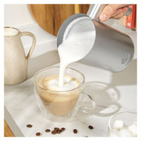 Salter EK6359MMSVDE Aspen Milk Frother Silver