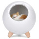 Tellur Cat Night Light