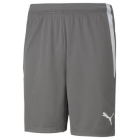 Puma teamLIGA M 704924 13 shorts (S)