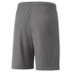 Puma teamLIGA M 704924 13 shorts (S)