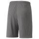 Puma teamLIGA M 704924 13 shorts (L)