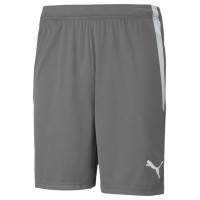 Puma teamLIGA M 704924 13 shorts (XL)