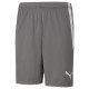 Puma teamLIGA M 704924 13 shorts (XL)