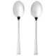 Salter BW09649 Buxton 2-Piece Serving Spoon Set