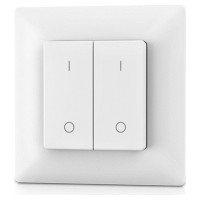 Skydance PF1-2 RF Remote Control, Single Color, 2 Zones