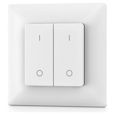 Skydance PF1-2 RF Remote Control, Single Color, 2 Zones